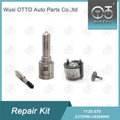 7135-579  Injektor Reparatur-Kit mit L375PRD Düse und 28264094 Steuerventil für Dieselmotoren