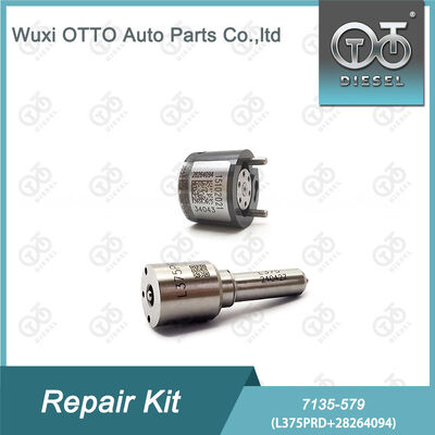 7135-579  Injektor Reparatur-Kit mit L375PRD Düse und 28264094 Steuerventil für Dieselmotoren