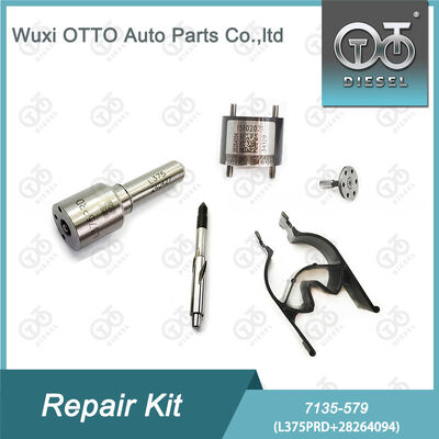 7135-579  Injektor Reparatur-Kit mit L375PRD Düse und 28264094 Steuerventil für Dieselmotoren