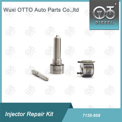Düse-CVA Kit 7135 - 659 Einspritzdüsen-Reparatursatz Enthält Düse L097PBD Und Ventil 28239294