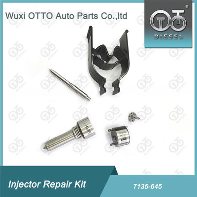 Ausrüstung für die Reparatur von Spritzglasventilen (R05201D)