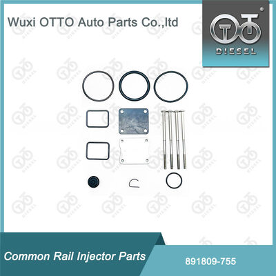 Diesel-Brennstoffpumpenreparatur-Kit 891809-755 für Bosch-Pumpen 755