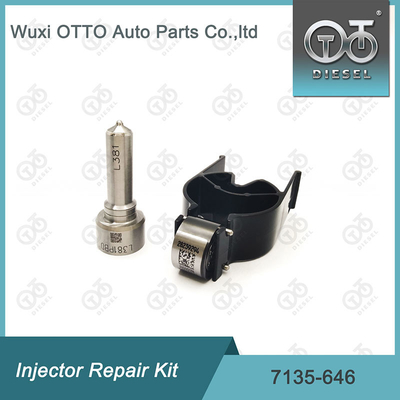 Injektorreparatur-Kit für Düsenventile 7135-646 Delphi für Injektoren 28232251 / R03101D / R05102D