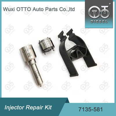 Ausrüstung für die Reparatur von Delphi-Injektoren für R00101D PSA / FORD DW10C