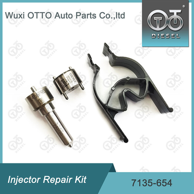 Delphi Injektor Reparatur-Kit 7135-654 für R00501Z mit Düse L456PRD