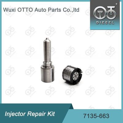 7135-663 Delphi Injektor Reparatur-Kit Düse-Ventil-Kit Düse-CVA-Kit