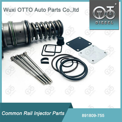 Diesel-Brennstoffpumpenreparatur-Kit 891809-755 für Bosch-Pumpen 755