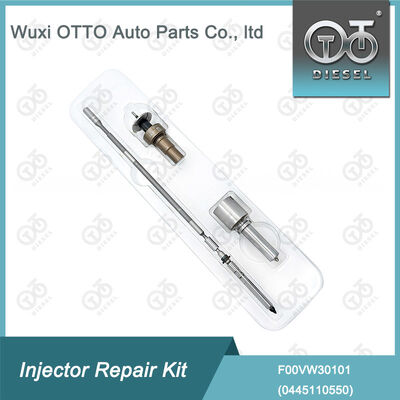 Injektorreparatur-Kit für Dieselinjektoren